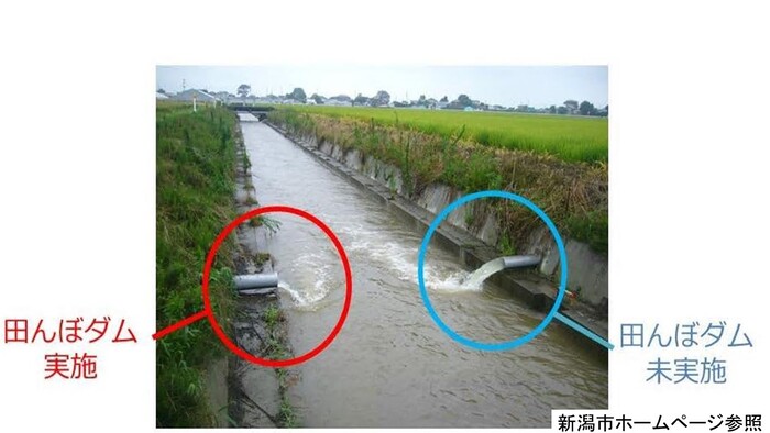 田んぼダム実施　未実施比較写真