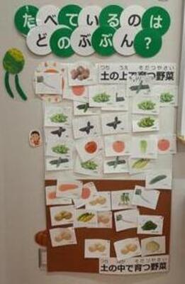 野菜展示2
