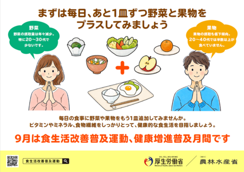 普及チラシ(食生活改善普及運動)