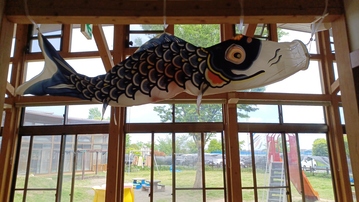 20260422鯉のぼり