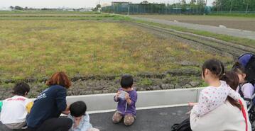 20260423ぞう散歩