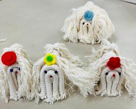 ロープでプードルの写真