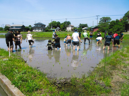 田植えのようす（南畑公民館）
