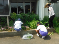 はつらつ社会体験　除草作業