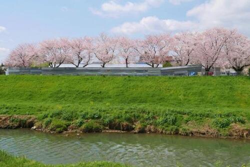 新河岸川の土手沿い