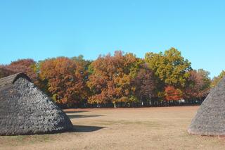 公園西側