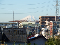 水子貝塚からn富士山