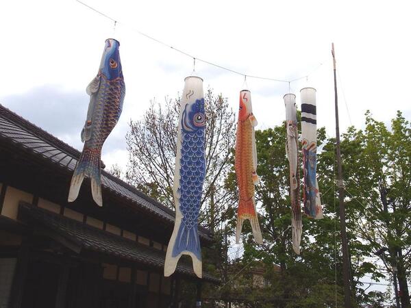 難波田城公園の こいのぼりと五月人形｜富士見市