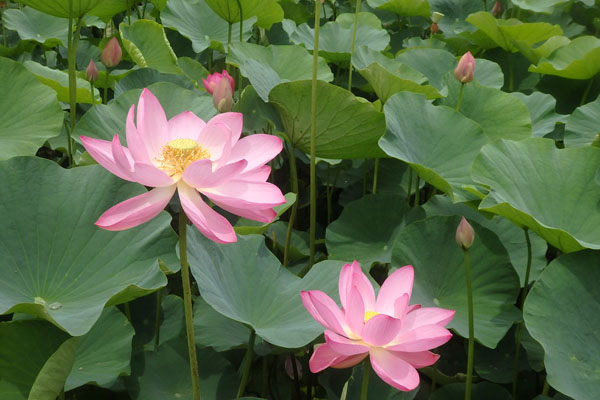 写真1