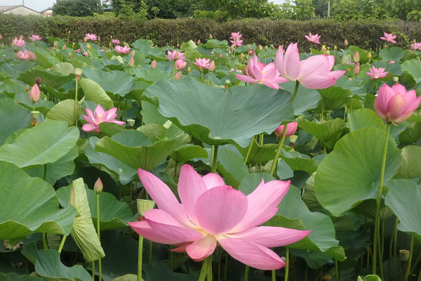 写真２