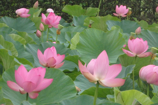 写真1