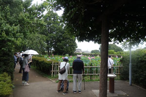 写真２