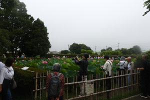 写真３