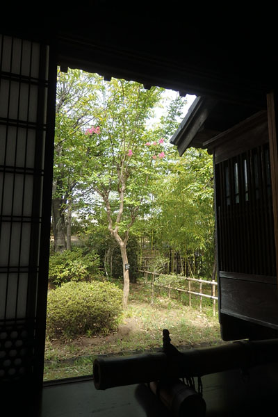 写真１