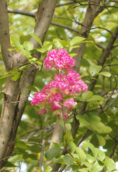 写真２