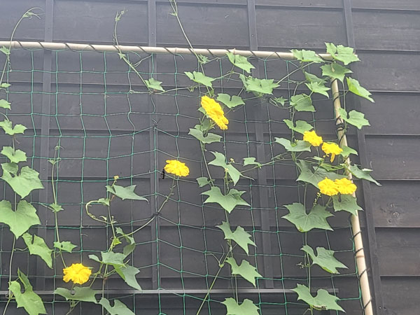 写真２