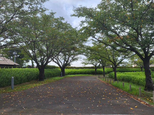 写真４