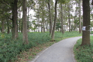 緑の散歩道（権平山）
