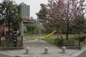 中沢公園1