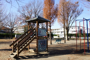 松の木公園3