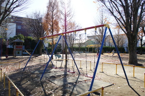 松の木公園4