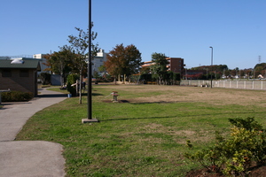 前沼公園の画像