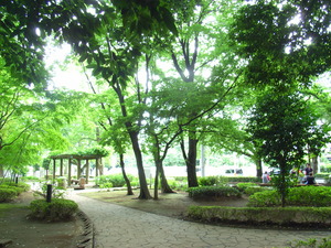 谷津の森公園2