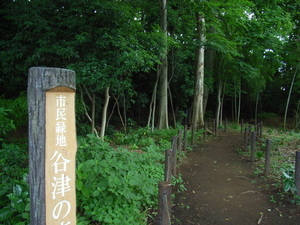 谷津の森公園3