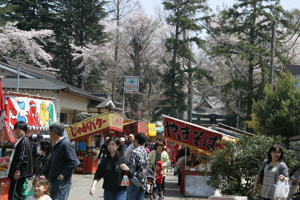 榛名神社の桜