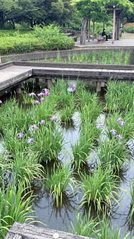 山崎公園の様子