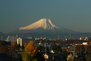 富士見市から望む富士山