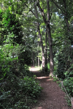 石井緑地公園内の鎌倉道