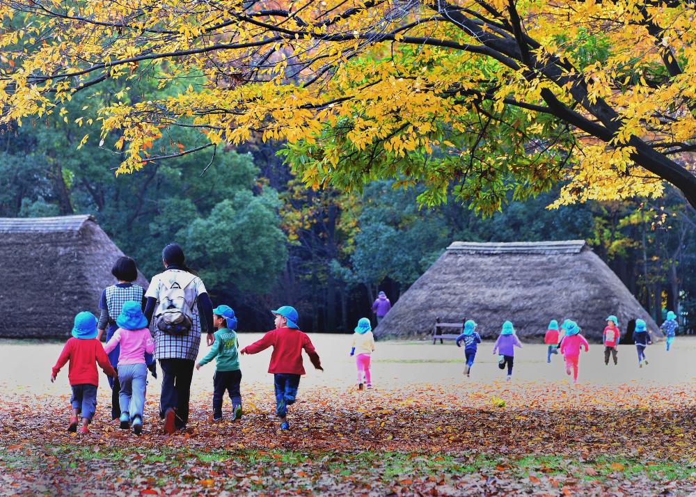 水子貝塚公園　11月（高橋清二さん（市内在住）撮影）