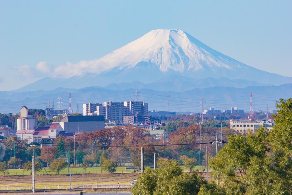 荒川の土手からの富士山　11月　よく晴れた日に、荒川の土手から撮影しました。（板倉広和さん（市内在住）撮影）