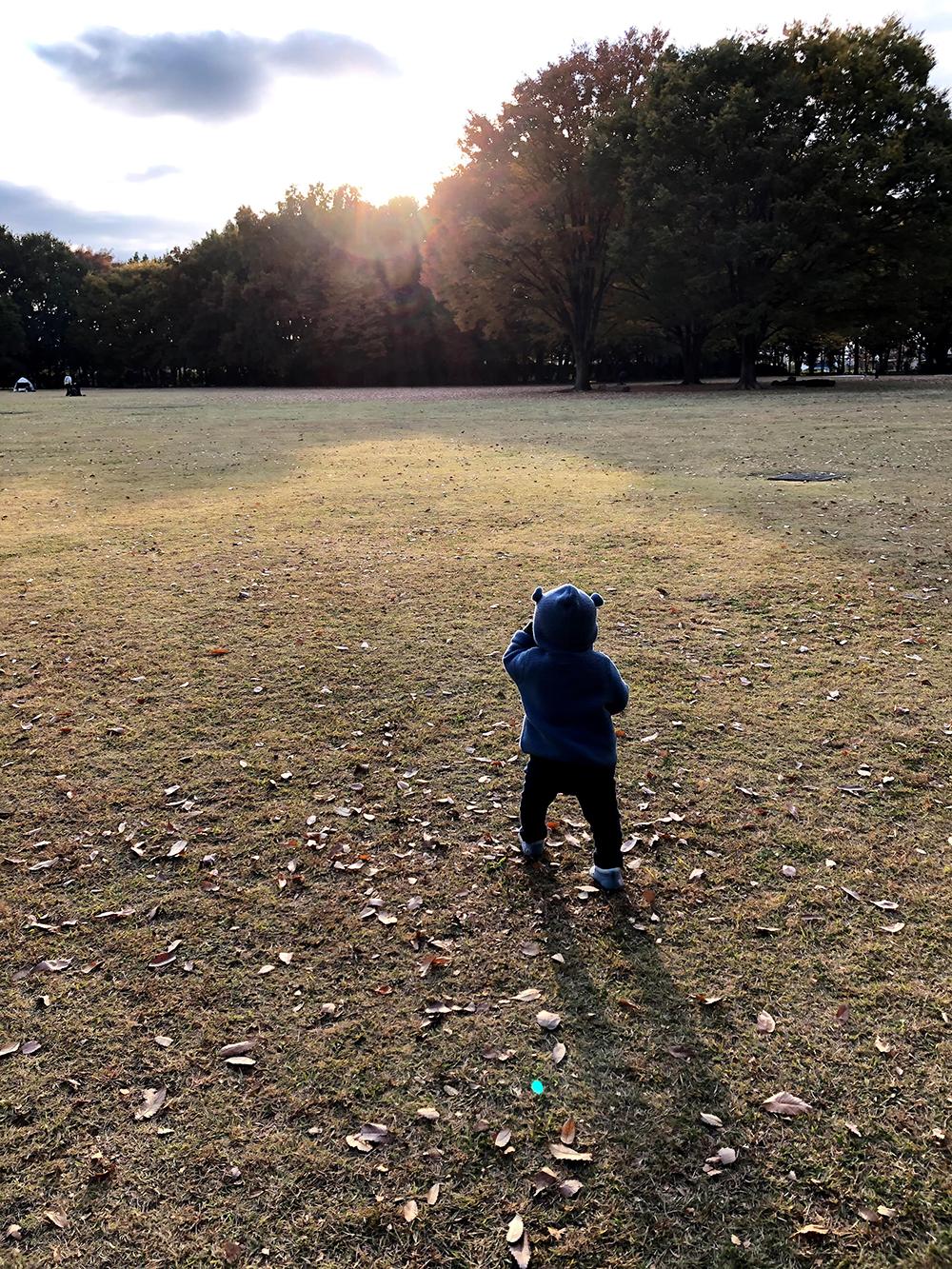 水子貝塚公園　11月　夕方の公園（山崎美帆さん（市内在住）撮影）