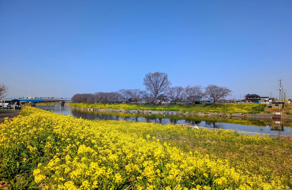 南畑新田　2025年3月22日　ランニングの中継スポット（山本智由さん（市内在住）撮影）
