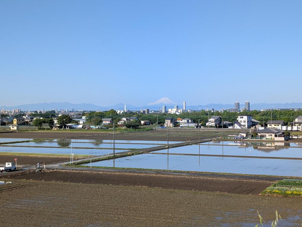 南畑新田付近　4月　ランニングしながらの富士山（山本智由さん（市内在住）撮影）