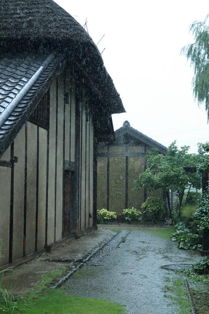 難波田公園　7月　蓮の写真を撮りに行ったのですが、雨が強くなり、軒下から梅雨の難波田公園を切り取りました。(匿名さん(市内在住)撮影)