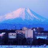 下南畑　2月　前夜に少し雪が降ったが、当日の朝は快晴。くっきりと富士がよく見えたので撮影開始。（藤田興二さん（市内在住）撮影）