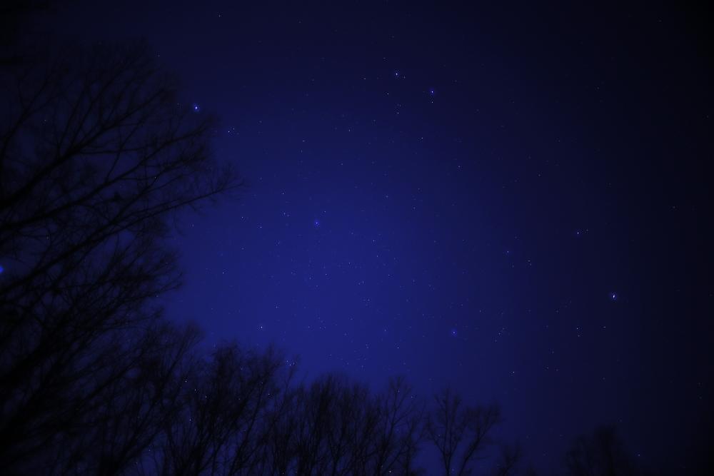 びん沼自然公園の夜空　2月　（市広報撮影）