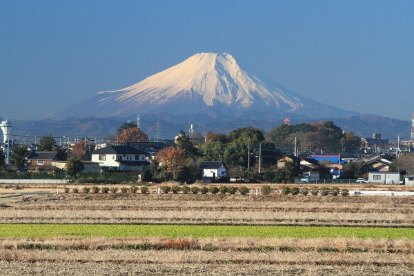 びん沼からの富士山