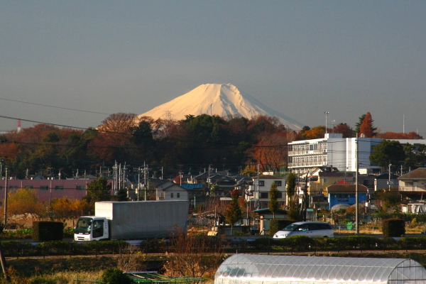 新河岸川からの富士山