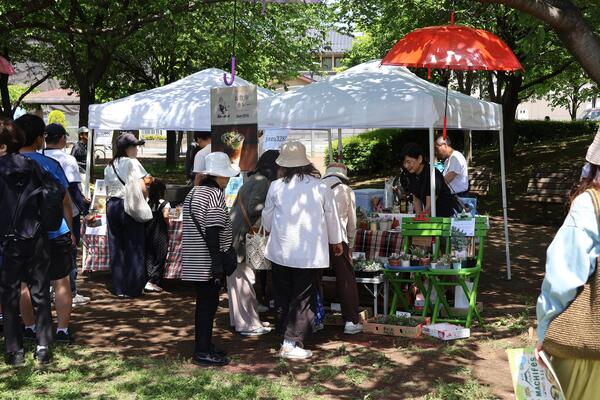 まちフェス6
