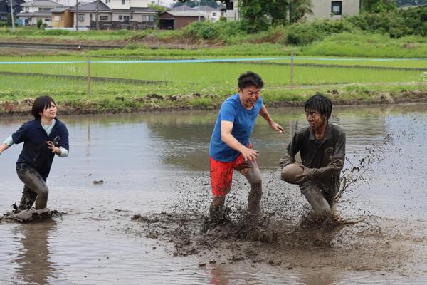 たんぼラグビーの写真6