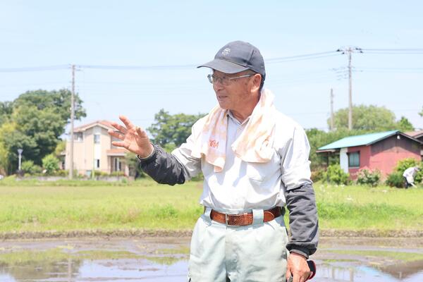 たんぼラグビー田植え写真２