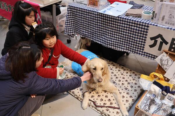 介助犬とのふれあいの写真