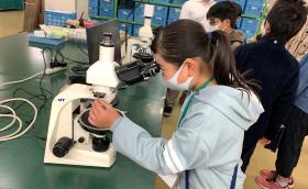 顕微鏡を覗く児童