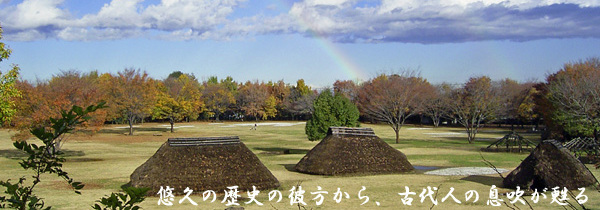 水子貝塚公園の画像