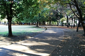 園内遊歩道