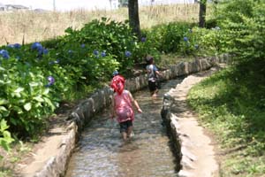 小川で水遊び